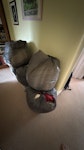 6 bin bags, single bed, tiles 6bags of pillows/brica brac,, two plastic under bed drawers, 8 tiles , a single bedframe plus drawers, and a single mattress. W4 - removed for £150