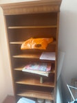 Mobility aids mix of jubk I wall unit 2 sets of side tables one chest of drawers pictures old hoovers bags and lots of junk IG7 - removed for £250