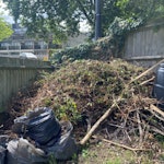 Garden waste, pile of rocks Pile of garden waste - compost, weeds, old plants
Small pile of rocks / concrete SE19 - removed for £150