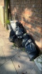 old fencing 4 fence panels. one still good. 2 uprights and 5 small bags of rubbish. DO NOT take the concrete planters NW1 - removed for £100