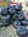 garden rubbish and 2 doors hedge trimmings and door x2 bits of timber and marble hearth SW2 - removed for £90