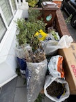 garden waste garden waste E17 - removed for £50