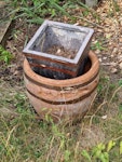 Foliage,pots and parasol Bamboo ɓranches,large parasol,metal container,wheeled garden barrow,pots DA14 - removed for £85
