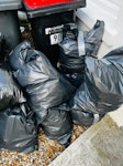 10 bags garden waste 50l garden waste mostly leaves and a few wooden pieces, easy access in front of the house CT1 - removed for £70