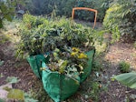 10 green bags with greens 10 green bags with greens SW18 - removed for £90