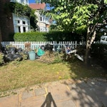 Garden cuts (95%) + fence bit Garden cuttings and a couple of bits of wood SW12 - removed for £120