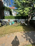 Garden cuts (95%) + fence bit Garden cuttings and a couple of bits of wood SW12 - removed for £120