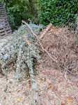 Assorted garden waste Approx 4.5 - 5 cu m GU28 - removed for £180
