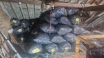 85 BAGS OF EXPANDING FOAM 85 BAGS OF EXPANDING FOAM, VERY LIGHT BUT HAVE VOLUME TO THEM. THEY WILL BE IN THE FRONT GARDEN. PE29 - removed for £300
