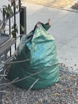one large bag of garden waste large bag of garden waste N1 - removed for £40