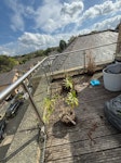 Garden waste from terrasse Dead plants and soil N7 - removed for £90