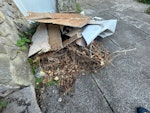 CARDBOARD, FOAM, BRUSH, DEBRIS Hi There -

I can only upload 4 x pictures but the waste includes 

- Flattened Cardboard
- DIY Waste
- Garden Brush / Waste
- Foam (All in Bin Bags) - Some Plastic Waste also all in bin bags L13 - removed for £125