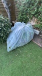 bags of garden leaves and bran three large boxes of garden leaves, one large tarpaulin of garden leaves and branches. SW6 - removed for £110
