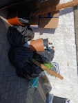 mixed waste black bags of mixedbwaste, platic pots, cardboard, trolley and rubber ball BN10 - removed for £80