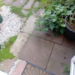 10 to 15 old paving slabs Need removing 15 slabs mixed small broken some whole medium size a few broken bricks. BN13 - removed for £60