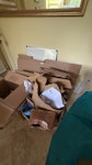 armchair, cardboard, household cardboard, armchair, plastic drawers, electric lights (3), 7 bags of household rubbish W4 - removed for £120