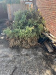 tree cuttings and decking tree cuttings and decking KT13 - removed for £125
