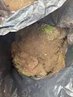 Heavy duty bags of turf & soil collected by N.M Removal Services