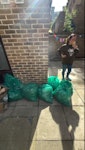 garden waste garden waste, soil and weeds WC1X - removed for £120