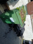 mixed waste contents of wheelie bin (all green waste), pile of black bags to the right which is mostly soil and mixed waste BN10 - removed for £125