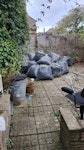 60 BAGS OF EXPANDING FOAM 60 BAGS OF EXPANDING FOAM, SLIGHTLY HEAVIER THAN NORMAL EXPANDING FOAM BUT NOT BY MUCH. TN31 - removed for £200