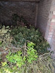 Garden waste Garden waste disposal from garage RG12 - removed for £200