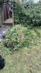 trimmed Tree/grass collection Trimmed tree collection, easy access ME15 - removed for £90