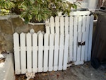 Garden fencing 3.3m of 70cm tall wood picket fencing, already cut into smaller pieces N16 - removed for £60
