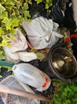 House hold waste Single bed and mattress some old gardening pots plastic and ceramic.  Dogs bowls bucket a rug ME19 - removed for £90