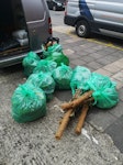 Plant waste, plastic, mosspole 6 bags of plant waste, 1 bag of plastic pots and trays, 5 bags containing moss poles and a bit of soil SW9 - removed for £85