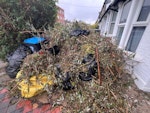 A tree was cut from the garden A tree was cut from the garden and all the junk was moved to the front of the house. NW10 - removed for £300