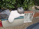 mixed furniture and general Garden chest containing various soft items (old pillows etc); child's kitchen; desk; cabinet; bagged general rubbish; two small electric vacuums (not working) W3 - removed for £80