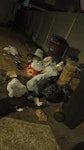 Bags of recycling and normal w RM9 - removed for £130
