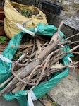 4 bags of garden waste 4 bags of garden waste. Please see the attached pics for reference. W14 - removed for £110