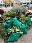 garden waste garden waste - please take from the front of the house :) SW17 - removed for £75