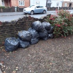~45 bags weeds etc some soil Garden waste, Soil, weeds, twigs, grass etc. Approx 45 black bin bags. E13 - removed for £120