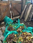 Garden waste and wood Garden waste & railway sleepers for planting (wooden planks) NW1 - removed for £210