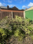 Green waste cut down bushes A rhododendron and two other hedge bushes WA9 - removed for £80