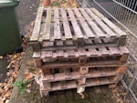 Assorted junk 5 pallets, a desk, foldable desks (broken), a blue bin in perfect condition. Not pictured but please include a bike frame E3 - removed for £120