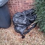 Green waste, approx 7 bin bag Green waste. Approx 7 bin bags. MK42 - removed for £45