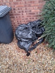 Green waste,  approx 7 bin bag Green waste. Approx 7 bin bags. MK42 - removed for £45