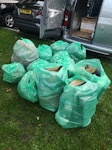 Leaf litter and plastic pots 10 bags of leaf litter and plants
3 bags of plastic pots
1 cardboard box containing large ceramic pot SW9 - removed for £85