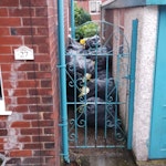 70 BAGS OF EXPANDING FOAM 70 BAGS OF EXPANDING FOAM, VERY LIGHT BUT HAVE VOLUME TO THEM. BL1 - removed for £200