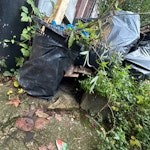 garden waste 6 fences some of them they are in black bags some and a sofa just clean some garden staff SE5 - removed for £180