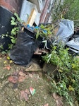 garden waste 6 fences some of them they are in black bags some and a sofa just clean some garden staff SE5 - removed for £180