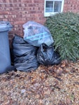 Green waste/pots & trays Green waste approx 9 bin bags.
one clear bag with plastic pots and trays MK42 - removed for £60