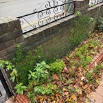 Single Pane Reinforced Glass One pane of reinforced glass, sitting now in front garden. Perfect condition. It was used as the surface of a desk. E17 - removed for £50