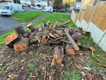 Tree logs Logs of trees RG7 - removed for £188