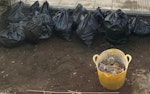 Small bags of soil.Curb Pickup 20 small bags of good quality soil. Approx 5 kg/bag. Will be left on footpath for easy pick up. SE16 - removed for £100