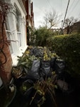 Green waste 90 bags of garden waste - all bagged up apart from a few longer branches SW17 - removed for £250